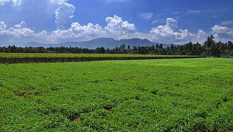 The season is not just all about heat waves, soaring temperature or diseases. But summer gives us those moments which we cannot have in any other season. The ripen delicious mango, holiday plans, cool windy evenings and most importantly the chilled cool d