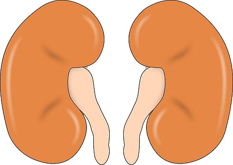 There is high quantity of fluoride and sulphate present in the water in these Telangana villages, which is leading to many diseases.