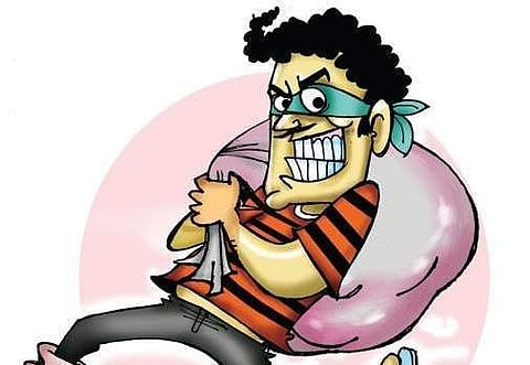 Kochi: Serial theft attempts panic Elamakkara, Ponekkara residents