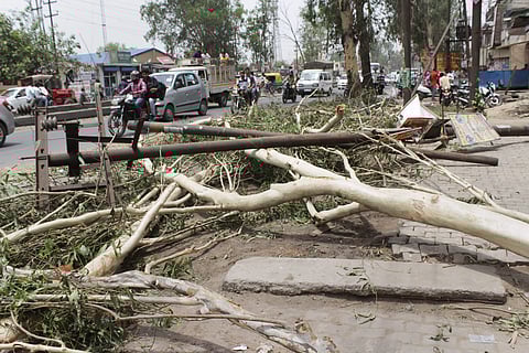 Commuters ride past fallen trees and electric poles that were uprooted after last night thunderstorm at GT road in Ghaziabad on Monday. | PTI
