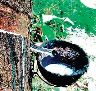 Proposing effective steps to avert the unremunerative price mechanism prevailing now, Infam  proposed to the Standing Committee the following measures.