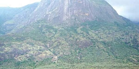 The proposed site of the INO, near Bodi West Hills in Theni district | Express Photo