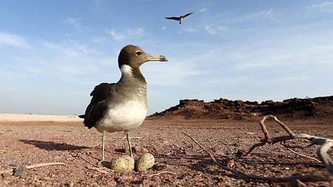 Image for representational purpose only