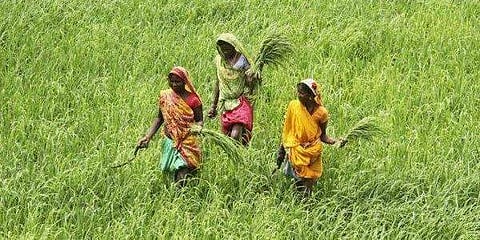 Image used for representational purpose only.