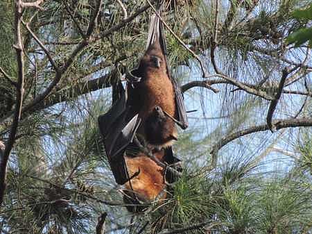 Image for representational purpose only.