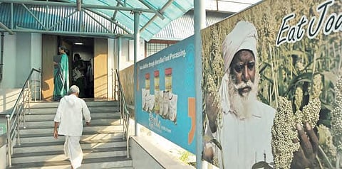 ‘Millets good for you and farmer’