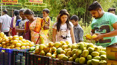 Image for representational purpose only