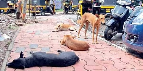 For representational purposes (File | EPS)