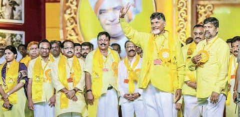 TDP may go it alone in 2019 elections