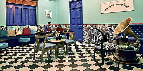 Paws can have a party, too