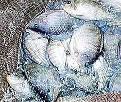 Image for representational purpose only.