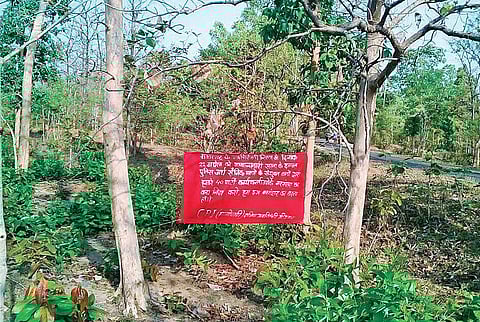 A Maoist poster vowing revenge inside the jungles of Gadchiroli | EXPRESS
