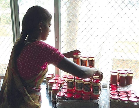 A tribal woman making value-added products from the honey the tribals collected from the forest in Marayoor | Express