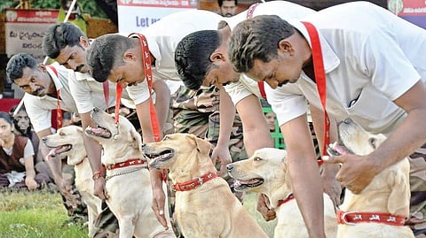 Police dogs with their trainers | Express