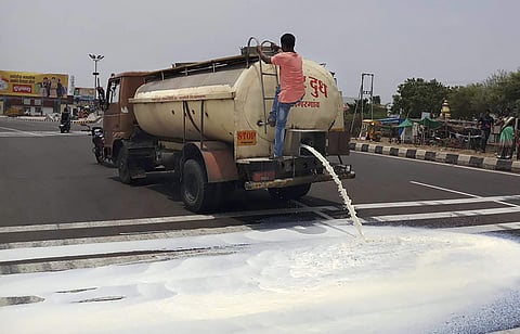 Farmers from Ahmednagar spill milk down a road during a state-wide protest in Pune on Friday. (PTI)