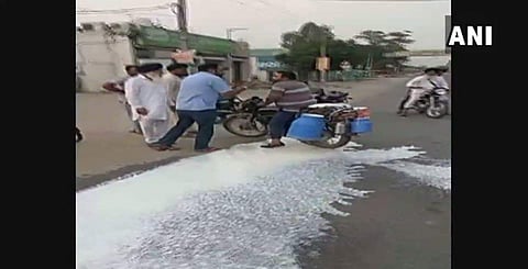 Farmers spill milk on the road during their 10 days 'Kisan Avkash' protest, in Ludhiana's Samrala. | Twitter ANI