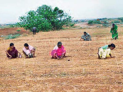 Though police are aware of diamond hunt in Kurnool, no action has been taken to curb it An official