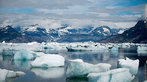 Floating icebergs that calved from the edge of the glacier fill Columbia Bay. | NASA : Jon Atta