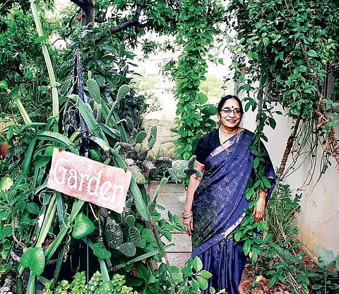 3Rs: The key to green foliage