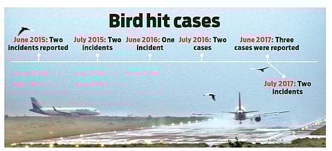 Monsoon measures to check bird strikes at airport