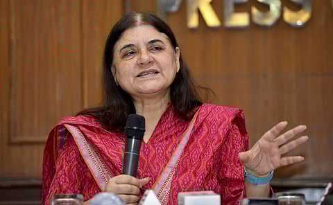 Union Women and Child Development Minister Maneka Gandhi (File | PTI)