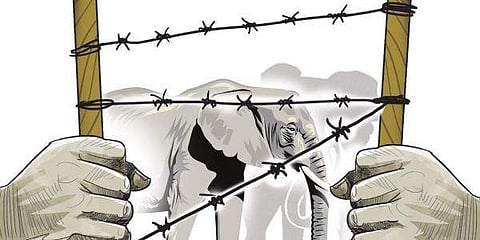 Image for representational purpose only.