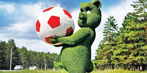 Image used for representational purpose. (File | AFP)