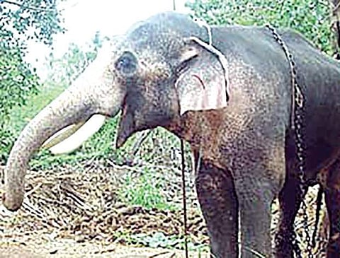 Image for representational purpose only.