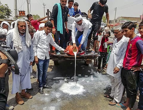 Farmers spill milk down a road during a state-wide protest in Hisar | PTI