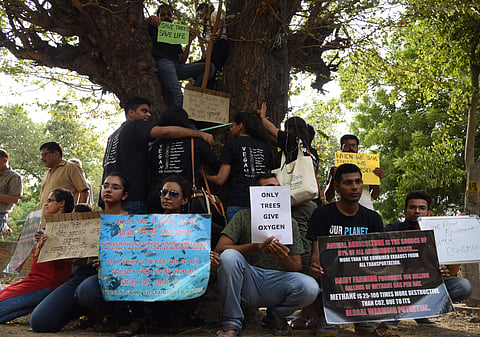 People gathered and hugging large Trees at Sarojini Nagar to protest against the proposed felling of around 16,500 trees in south Delhi area in New Delhi on Sunday. (Parveen Negi | EPS)