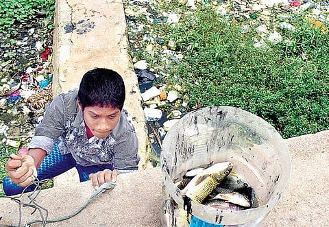 A boy stores his catch in a bucket while another gets busy fishing in the polluted Ulsoor Lake on Sunday | pandarinath b