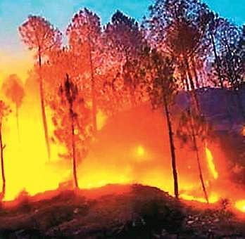 Forest fires cause pollution worse than that in toxic cities, says NRSC study