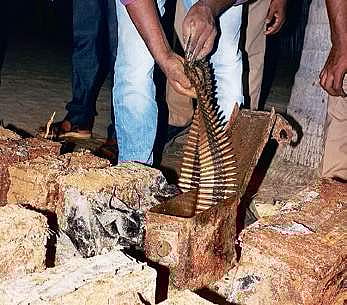 Till 9 pm, police said 22 boxes of Large Machine Guns bullets were unearthed. Each box contained 250 bullets of 7.60mm.
