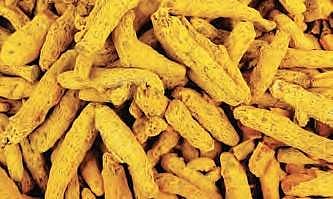 Image used for representational purpose only.