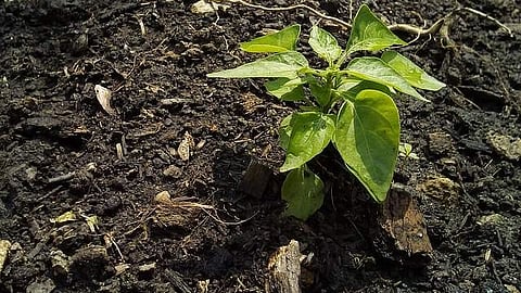 Image for representational purpose only.