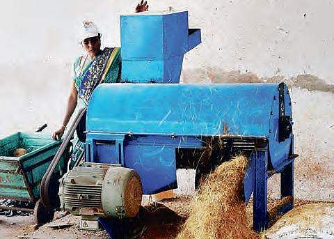 A worker using the shell shredding machine in Vijayawada | R V K Rao