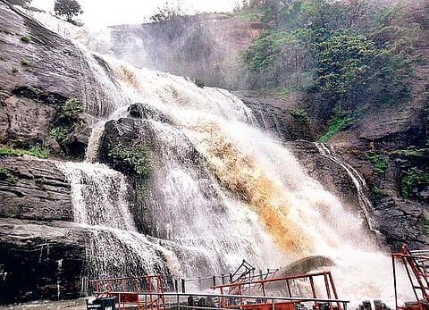 A file picture of Courtallam waterfalls in Tirunelveli district | Express