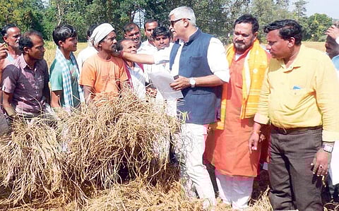 Union Minister Gajendra Singh Shekhawat at a pest affected village in Odisha (Photo | File/EPS)
