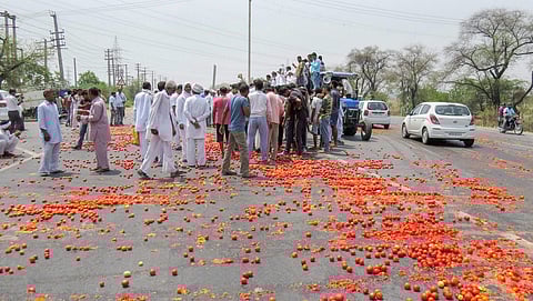 Vegetables lie scattered on a road as farmer's protest enters third day in Hisar on Sunday June 03 2018. | PTI