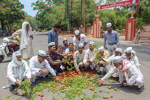 Bharatiya Kisan Andolan activists along with the farmers throw tomatoes on a road during a protest various issues of the farmers including their loan waiver in Meerut on Sunday June 03 2018. | PTI