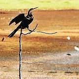 Preserving and flourishing