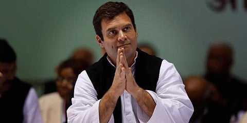 Rahul Gandhi  (File | PTI)