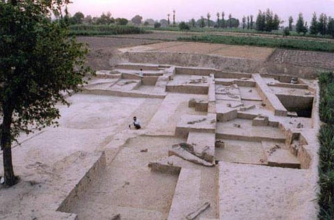 General view of the excavated Burials, Sanauli, second millennium BC. (Photo | Archeological Survey of India)