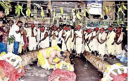 Image used for representational purpose only. Priests perform rituals on timber logs to be used in construction of chariots for Rath Yatra in Puri (File Photo | Express Photo Service)
