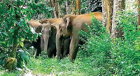 Image used for representational purposes only