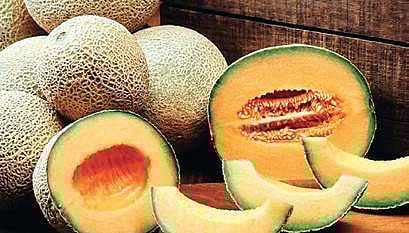 Muskmelon is the secret to weight loss