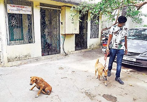 Picture for representational purposes only | martin louis