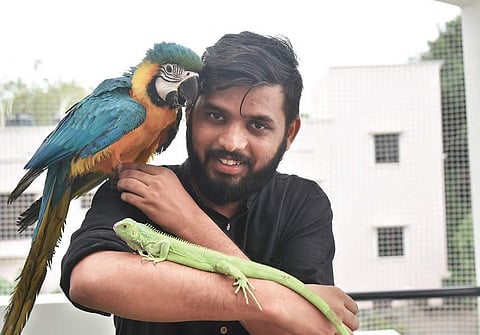 Make way for this innovator