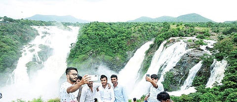 The Gaganachukki waterfalls in Malavalli taluk of Mandya district, termed as the Niagara of South, is in full flow now, attracting tourists from across the state. The waterfalls is in full glory after a gap of eight years following increased inflow into C