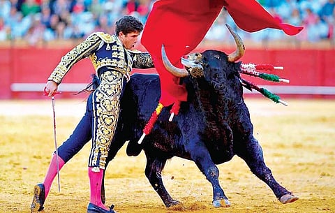 Bullfighting in Spain